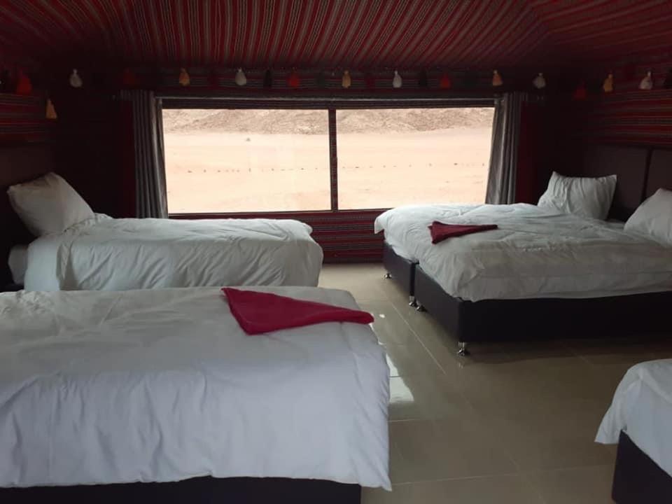 Black Irish Camp And Tours Hotel Wadi Rum Luaran gambar