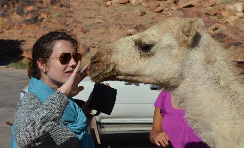 Black Irish Camp And Tours Hotel Wadi Rum Luaran gambar